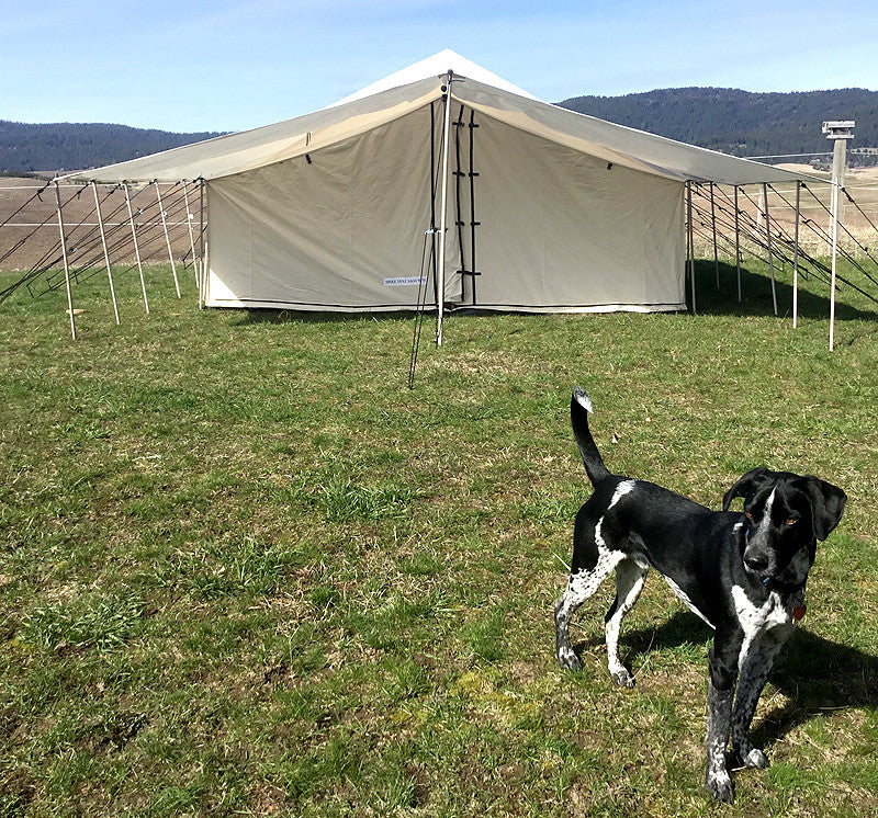 Selkirk Spike Tent - Tent, Frame, Floor, & Fly